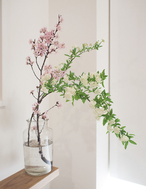 玄関に飾った啓翁桜と小手毬