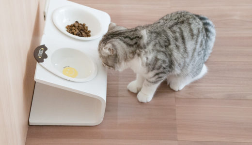 ［猫の食器台］インテリアに馴染むシンプルでおしゃれなフードスタンド