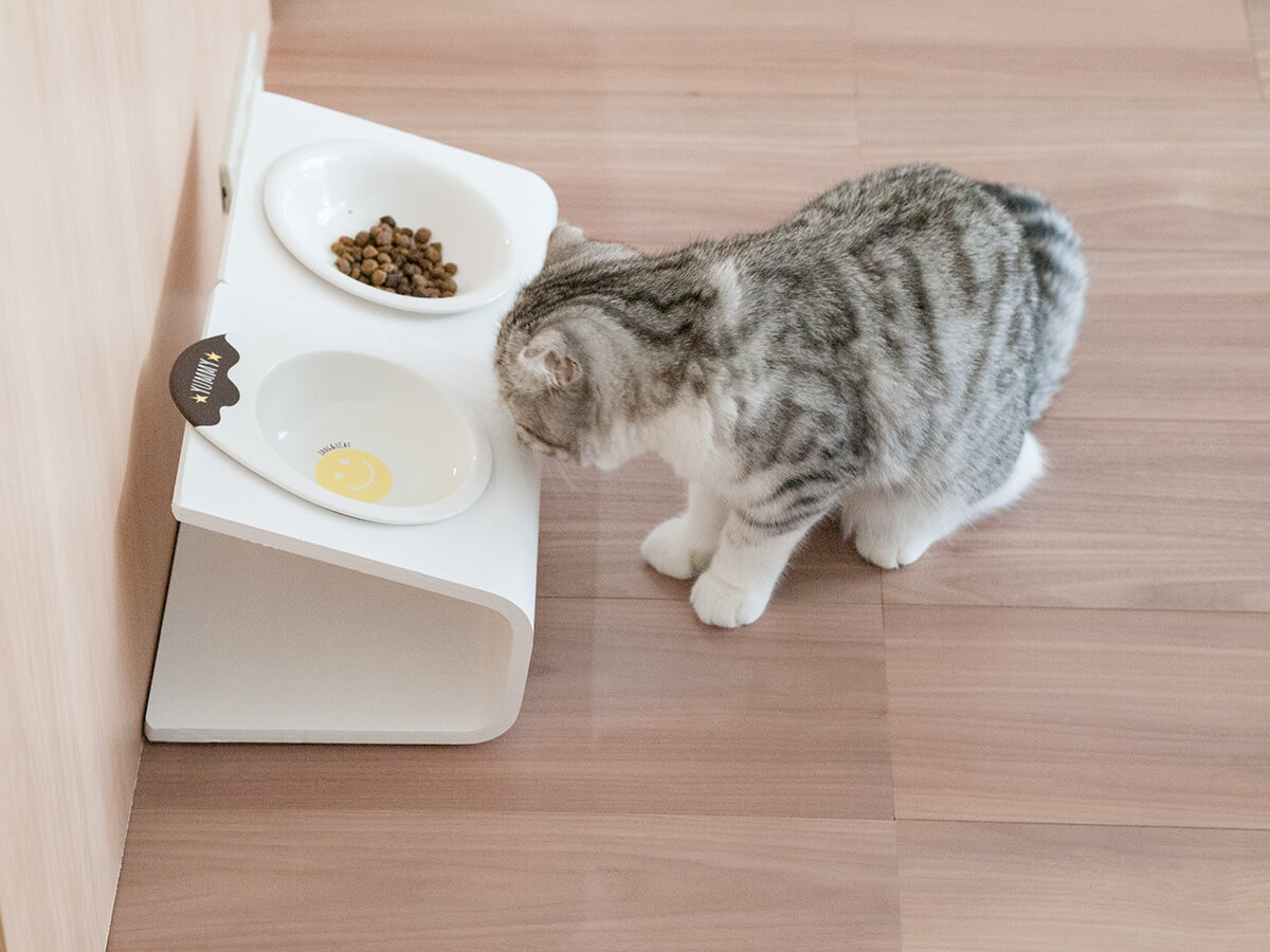 猫の食器台 インテリアに馴染むシンプルでおしゃれなフードスタンド ウチブログ