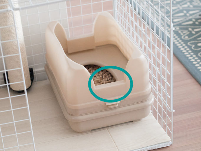 猫がウンチを踏む！おまる式猫トイレ「キャットワレ」で解決しました。 ウチブログ