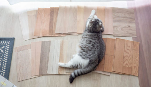 【猫のためのDIY】滑りにくい床材探し。「ピタフィー」を貼ってみた結果