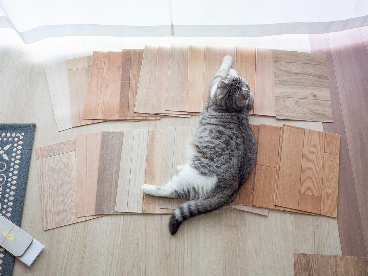 猫のためのdiy 滑りにくい床材探し ピタフィー を貼ってみた結果 ウチブログ