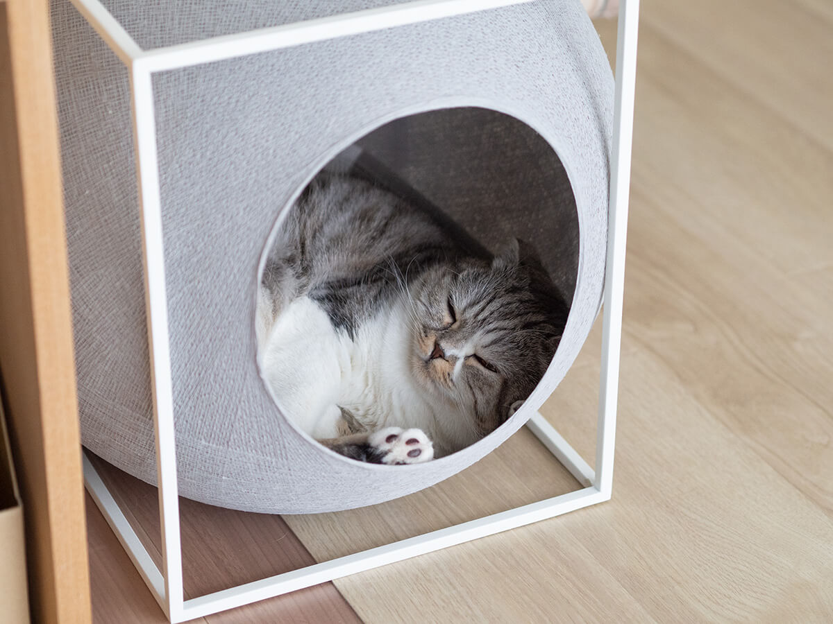 猫とインテリア おしゃれ猫ハウスは猫も喜ぶデザインでした ウチブログ
